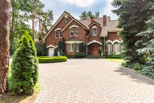 Best Professional Driveway Pavers  in Sylva, NC